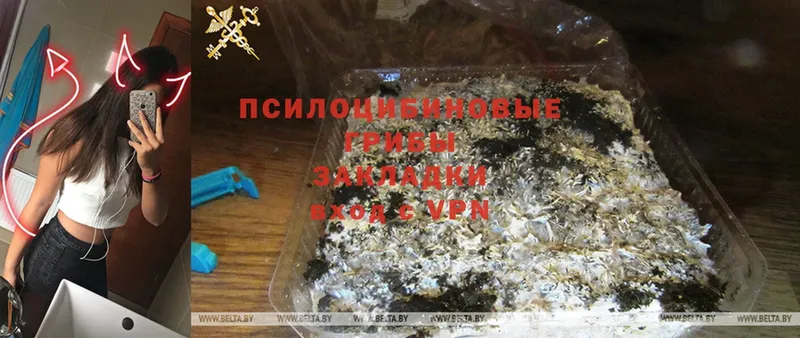 Галлюциногенные грибы Magic Shrooms  Буинск 